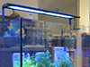 Новые светодиодные светильники ISTA LED RGB